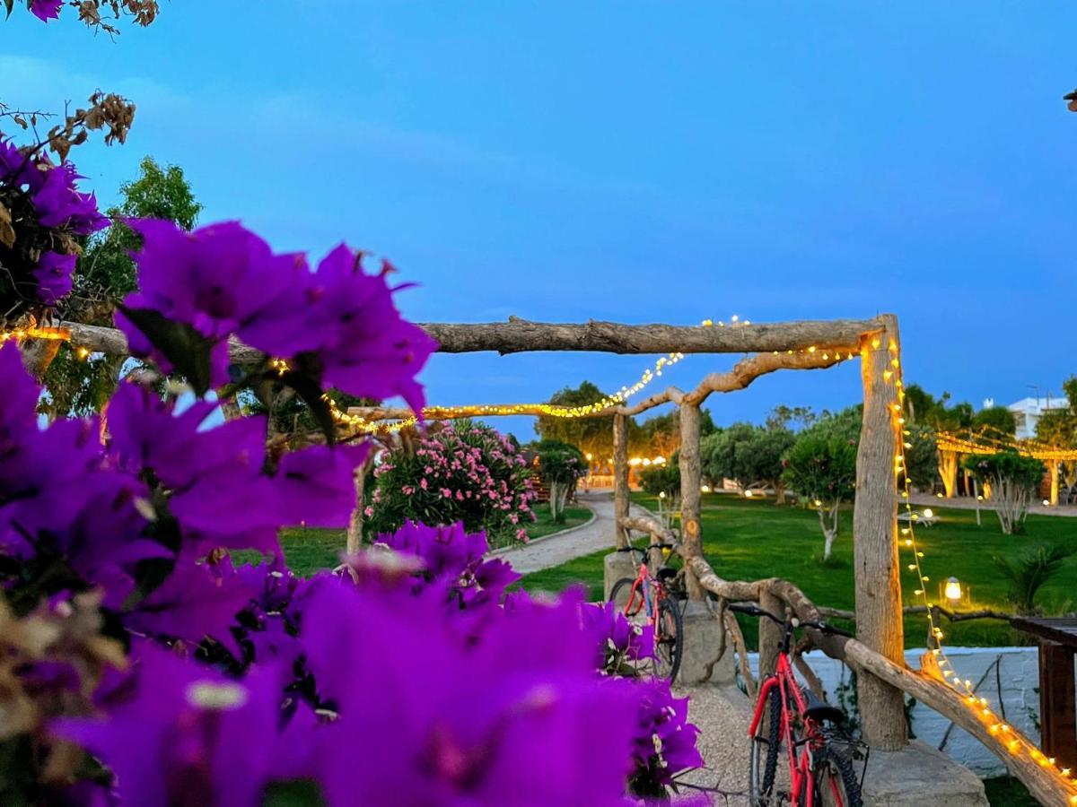 Eco Beach And Magic Garden Hotel Gennadi Luaran gambar